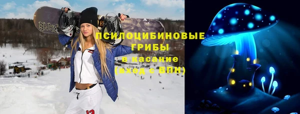 мяу мяу мука Арсеньев