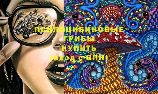 мяу мяу мука Арсеньев