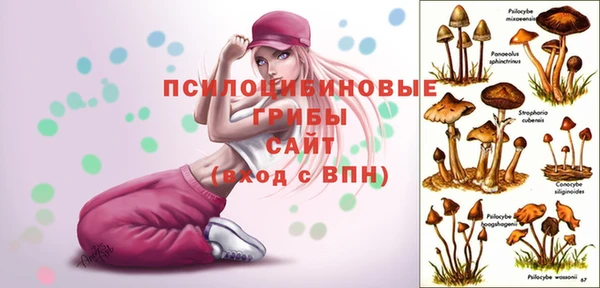 мяу мяу мука Арсеньев