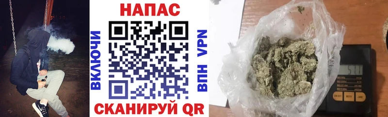 МЕГА ONION  Петухово  Канабис White Widow  где найти  